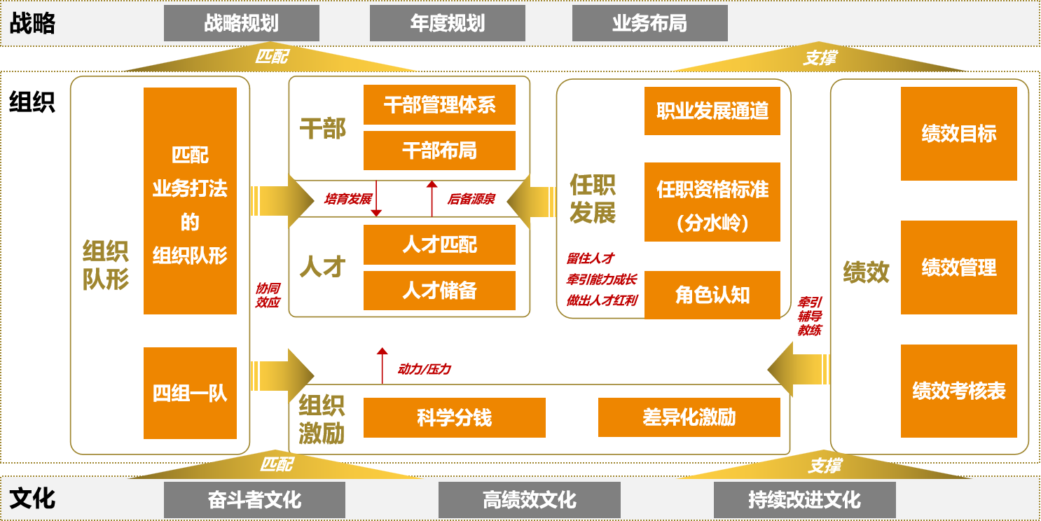 组织活力打造